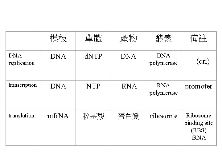  模板 單體 產物 酵素 備註 DNA replication DNA d. NTP DNA polymerase transcription