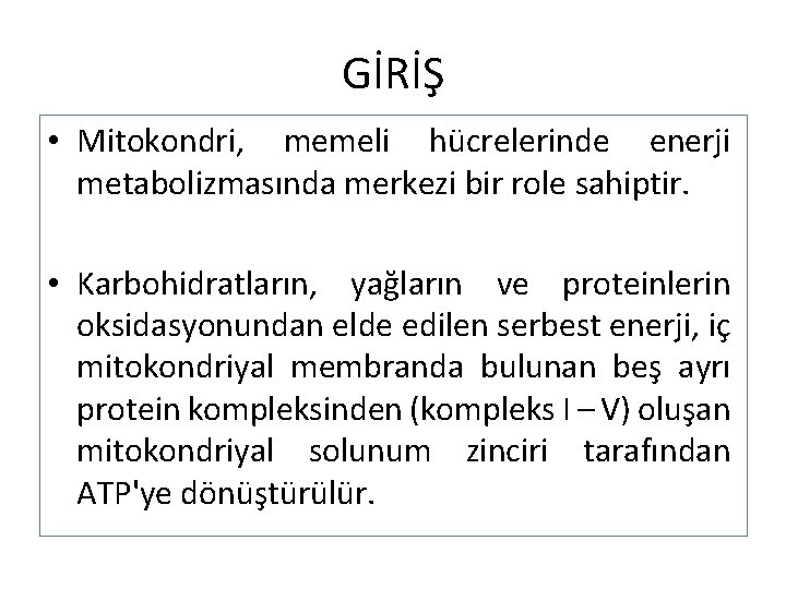 GİRİŞ • Mitokondri, memeli hücrelerinde enerji metabolizmasında merkezi bir role sahiptir. • Karbohidratların, yağların