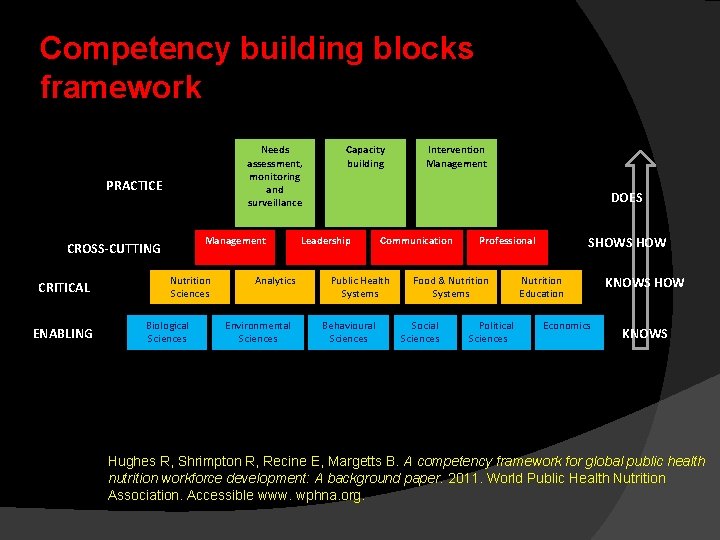 Competency building blocks framework Needs assessment, monitoring and surveillance PRACTICE Management CROSS-CUTTING CRITICAL ENABLING