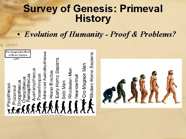 Survey of Genesis: Primeval History • Evolution of Humanity - Proof & Problems? 