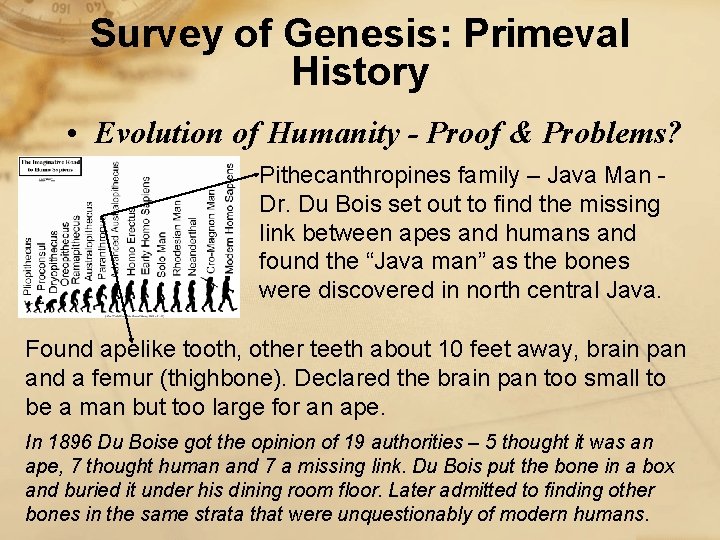 Survey of Genesis: Primeval History • Evolution of Humanity - Proof & Problems? Pithecanthropines