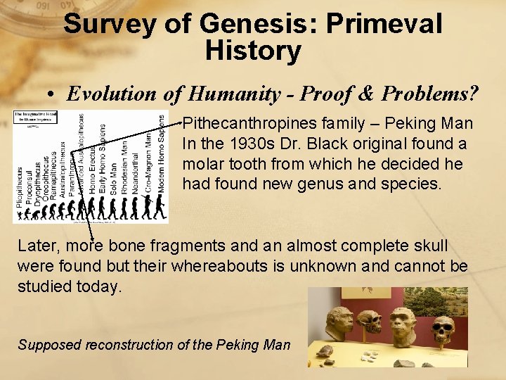 Survey of Genesis: Primeval History • Evolution of Humanity - Proof & Problems? Pithecanthropines