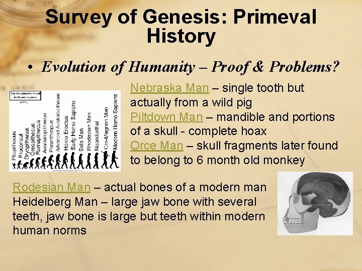 Survey of Genesis: Primeval History • Evolution of Humanity – Proof & Problems? Nebraska