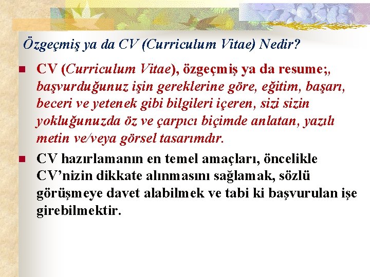 Özgeçmiş ya da CV (Curriculum Vitae) Nedir? n n CV (Curriculum Vitae), özgeçmiş ya