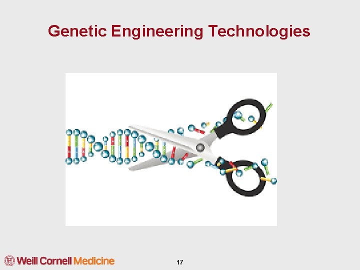 Genetic Engineering Technologies 17 