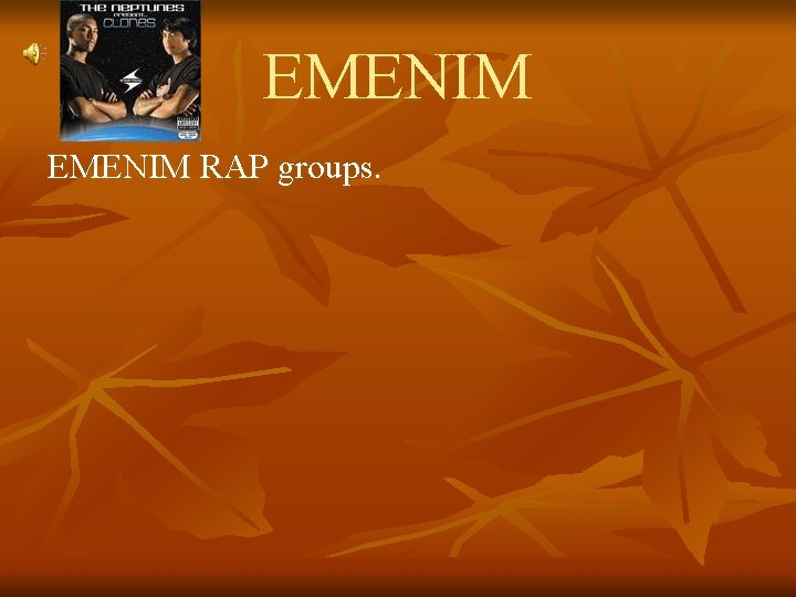 EMENIM RAP groups. 