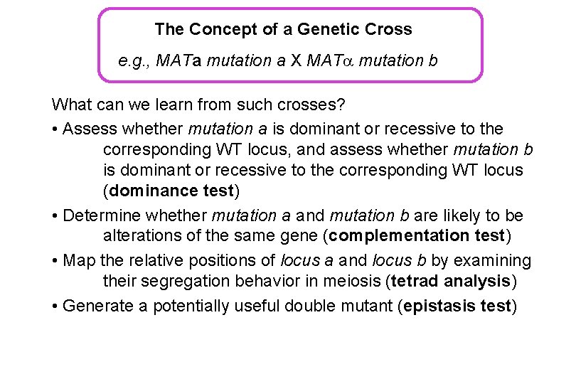 The Concept of a Genetic Cross e. g. , MATa mutation a X MAT