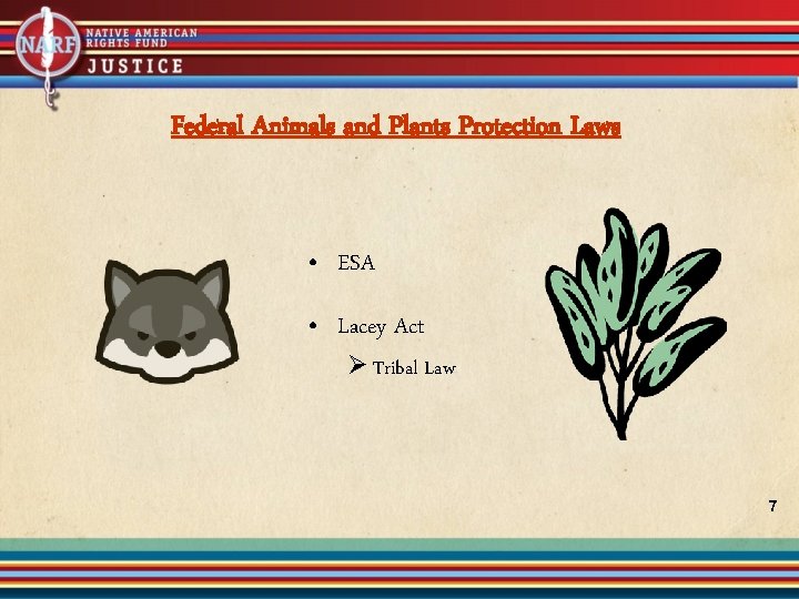 Federal Animals and Plants Protection Laws • ESA • Lacey Act Ø Tribal Law