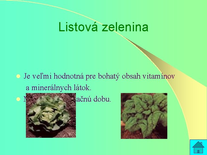 Listová zelenina Je veľmi hodnotná pre bohatý obsah vitamínov a minerálnych látok. l Má