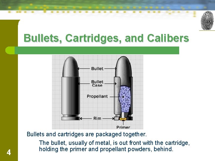 Chapter 17 Ballistics Introduction Ballistic evidence helps explain