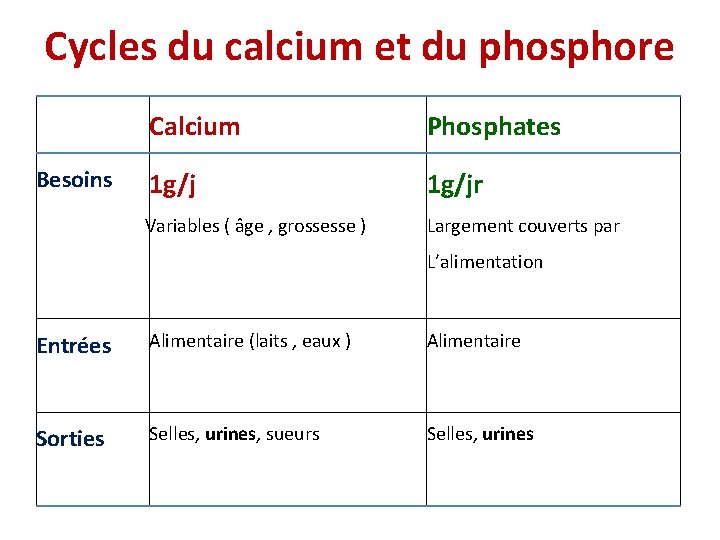 Cycles du calcium et du phosphore Besoins Calcium Phosphates 1 g/jr Variables ( âge