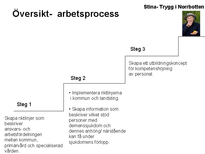 Översikt- arbetsprocess Stina- Trygg i Norrbotten Steg 3 Steg 2 • Implementera riktlinjerna i