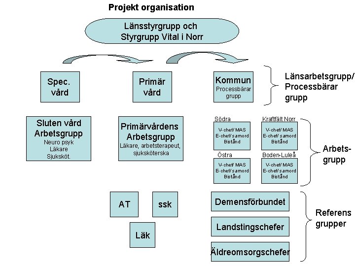 Projekt organisation Länsstyrgrupp och Styrgrupp Vital i Norr Spec. vård Sluten vård Arbetsgrupp Neuro