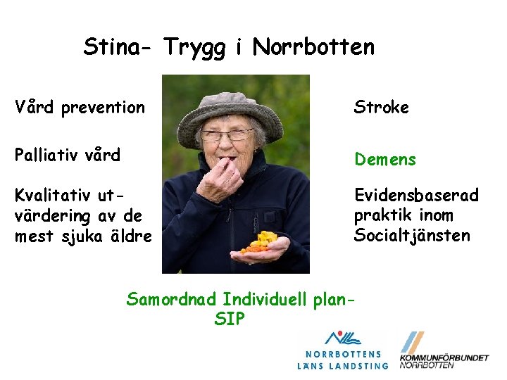 Stina- Trygg i Norrbotten Vård prevention Stroke Palliativ vård Demens Kvalitativ utvärdering av de