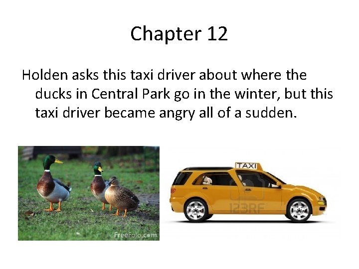 Chapter 12 Holden asks this taxi driver about where the ducks in Central Park