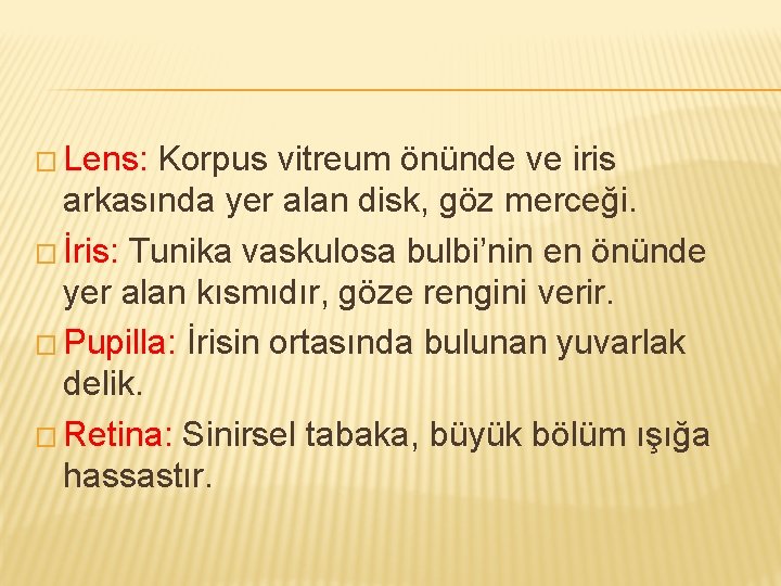 � Lens: Korpus vitreum önünde ve iris arkasında yer alan disk, göz merceği. �