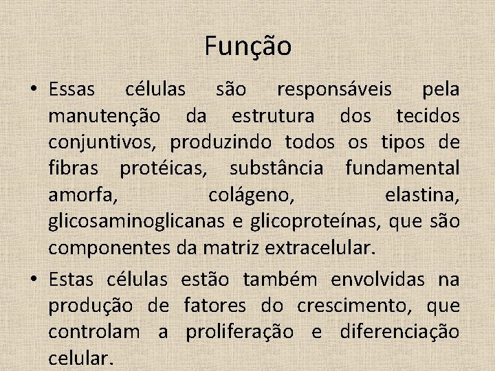 Função • Essas células são responsáveis pela manutenção da estrutura dos tecidos conjuntivos, produzindo