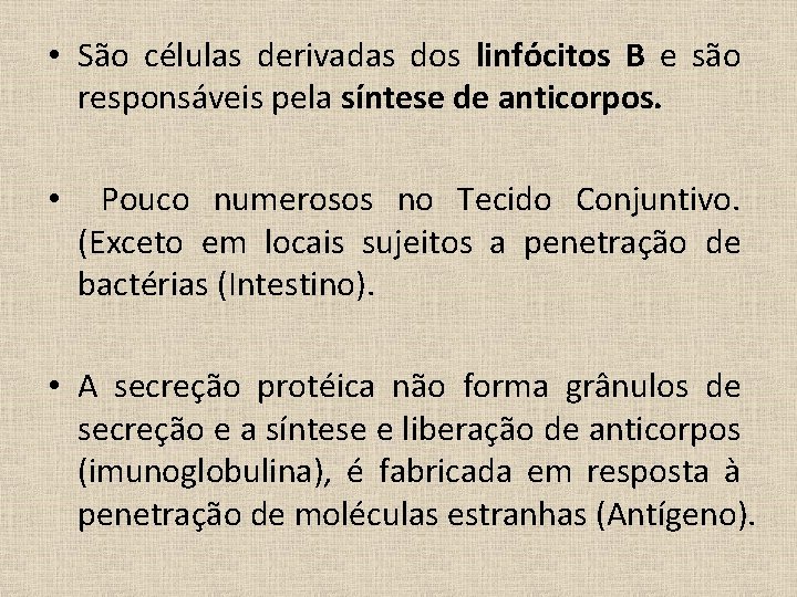  • São células derivadas dos linfócitos B e são responsáveis pela síntese de