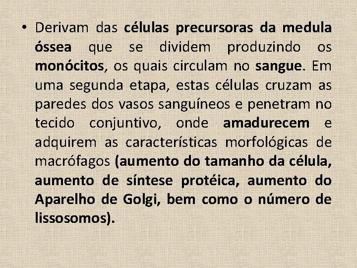  • Derivam das células precursoras da medula óssea que se dividem produzindo os