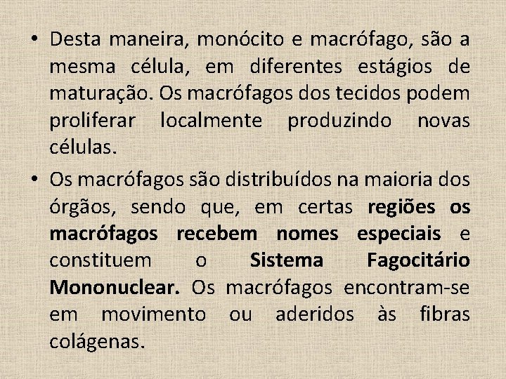  • Desta maneira, monócito e macrófago, são a mesma célula, em diferentes estágios