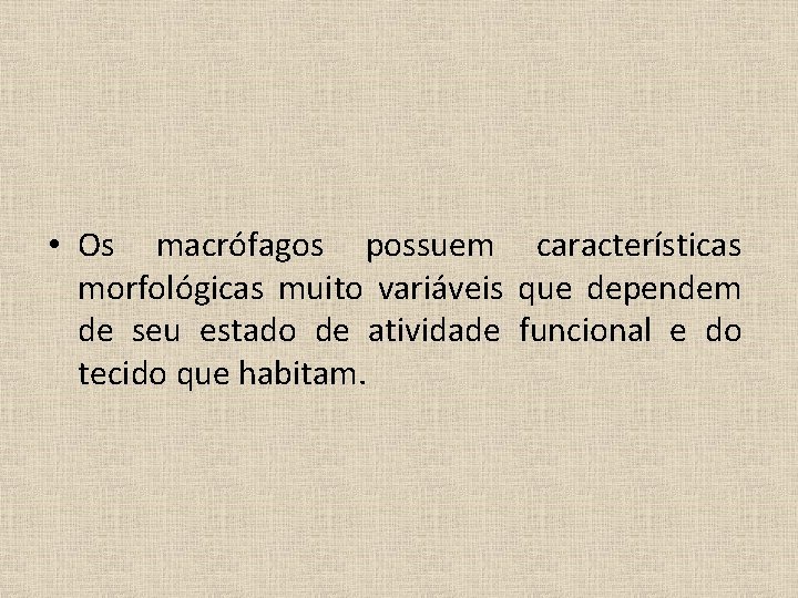  • Os macrófagos possuem características morfológicas muito variáveis que dependem de seu estado