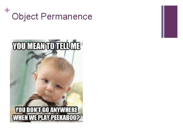 + Object Permanence + Object Permanence