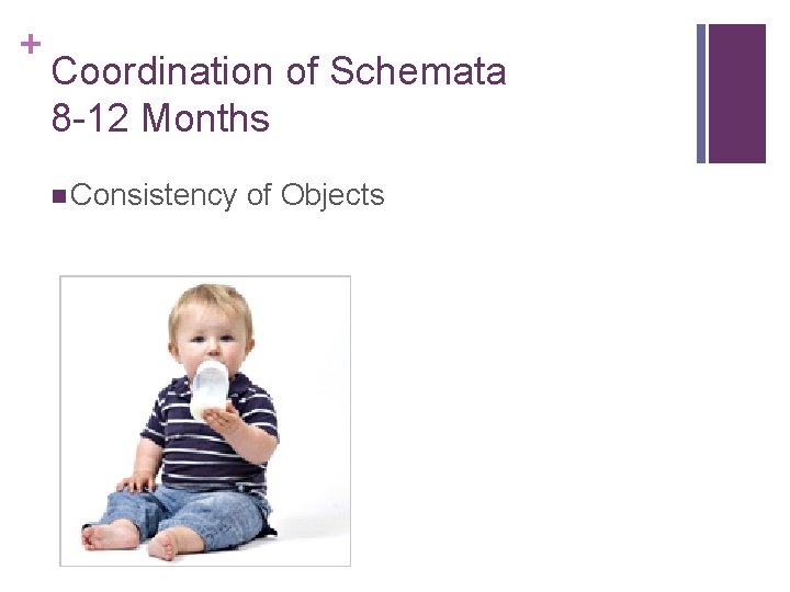 + Coordination of Schemata 8 -12 Months n Consistency of Objects + Coordination of Schemata 8 -12 Months n Consistency of Objects