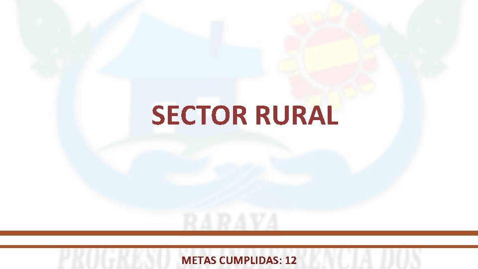 SECTOR RURAL METAS CUMPLIDAS: 12 