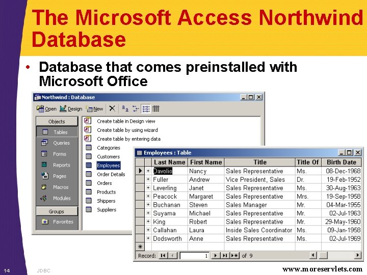 The Microsoft Access Northwind Database • Database that comes preinstalled with Microsoft Office 14