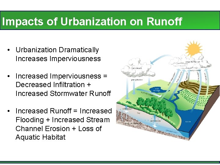 Impacts of Urbanization on Runoff • Urbanization Dramatically Increases Imperviousness • Increased Imperviousness =