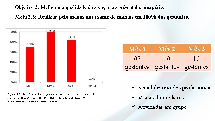 Objetivo 2: Melhorar a qualidade da atenção ao pré-natal e puerpério. Meta 2. 3: