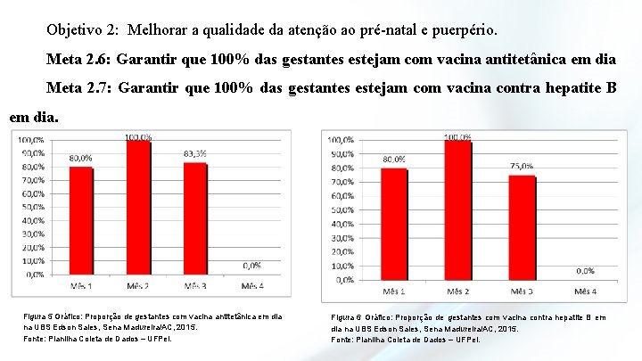 Objetivo 2: Melhorar a qualidade da atenção ao pré-natal e puerpério. Meta 2. 6: