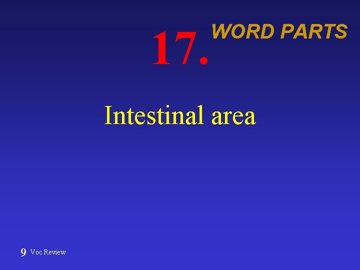 17. WORD PARTS Intestinal area 9 Voc Review 