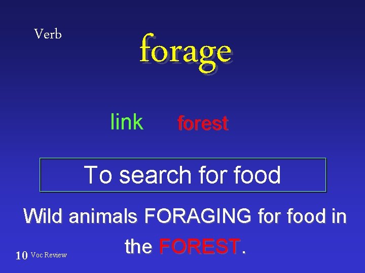 Verb forage link forest To search for food Wild animals FORAGING for food in
