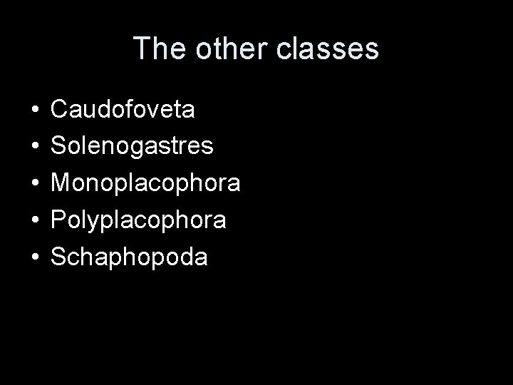 The other classes • • • Caudofoveta Solenogastres Monoplacophora Polyplacophora Schaphopoda 