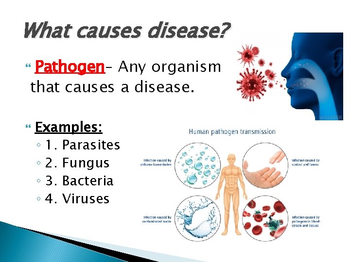 What causes disease? Pathogen– Any organism that causes a disease. Examples: ◦ 1. Parasites