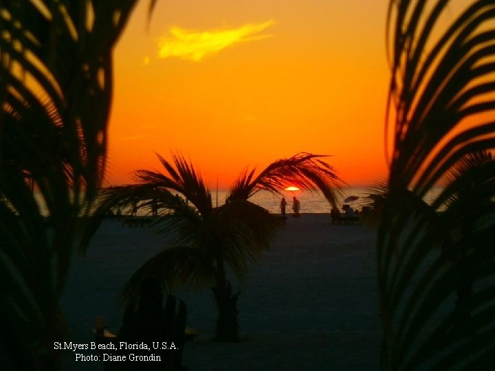 St. Myers Beach, Florida, U. S. A. Photo: Diane Grondin 