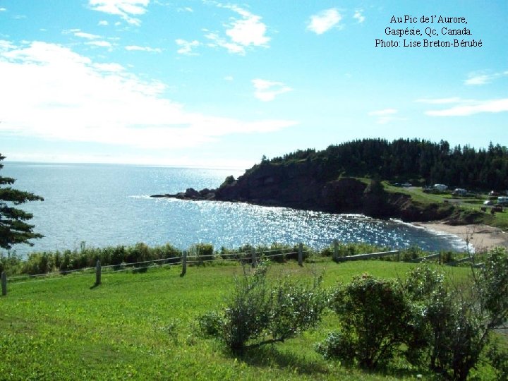 Au Pic de l’Aurore, Gaspésie, Qc, Canada. Photo: Lise Breton-Bérubé 