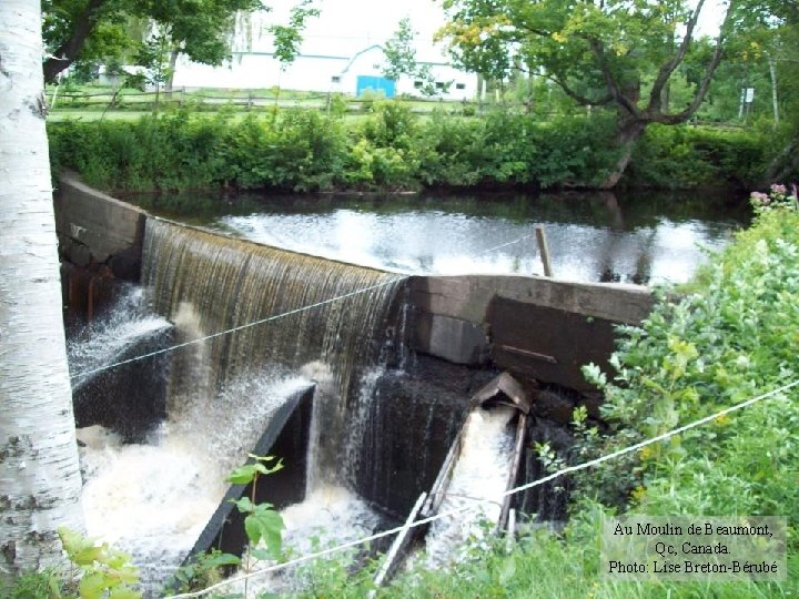 Au Moulin de Beaumont, Qc, Canada. Photo: Lise Breton-Bérubé 