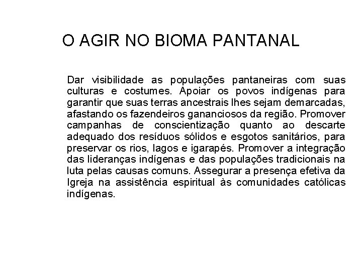 O AGIR NO BIOMA PANTANAL Dar visibilidade as populações pantaneiras com suas culturas e