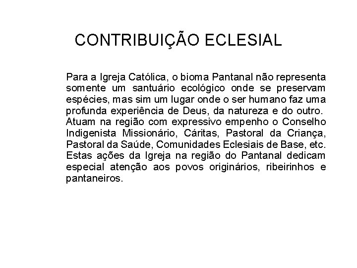 CONTRIBUIÇÃO ECLESIAL Para a Igreja Católica, o bioma Pantanal não representa somente um santuário