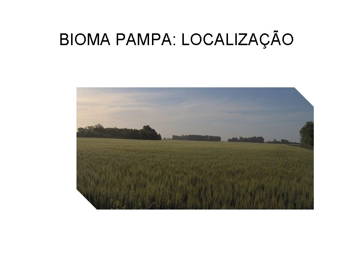 BIOMA PAMPA: LOCALIZAÇÃO 