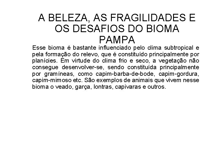 A BELEZA, AS FRAGILIDADES E OS DESAFIOS DO BIOMA PAMPA Esse bioma é bastante