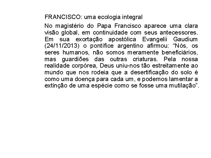 FRANCISCO: uma ecologia integral No magistério do Papa Francisco aparece uma clara visão global,