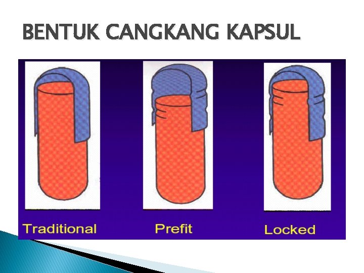 BENTUK CANGKANG KAPSUL 