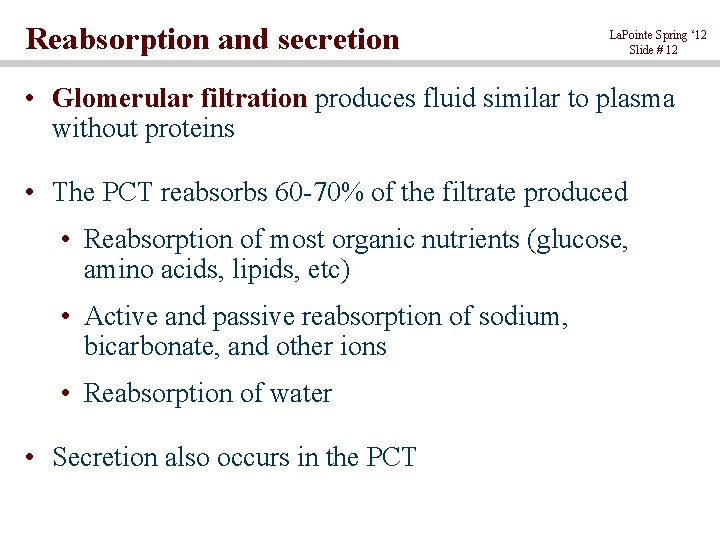 Reabsorption and secretion La. Pointe Spring ‘ 12 Slide # 12 • Glomerular filtration
