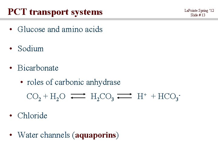 PCT transport systems La. Pointe Spring ‘ 12 Slide # 13 • Glucose and