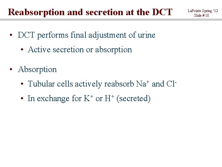 Reabsorption and secretion at the DCT • DCT performs final adjustment of urine •