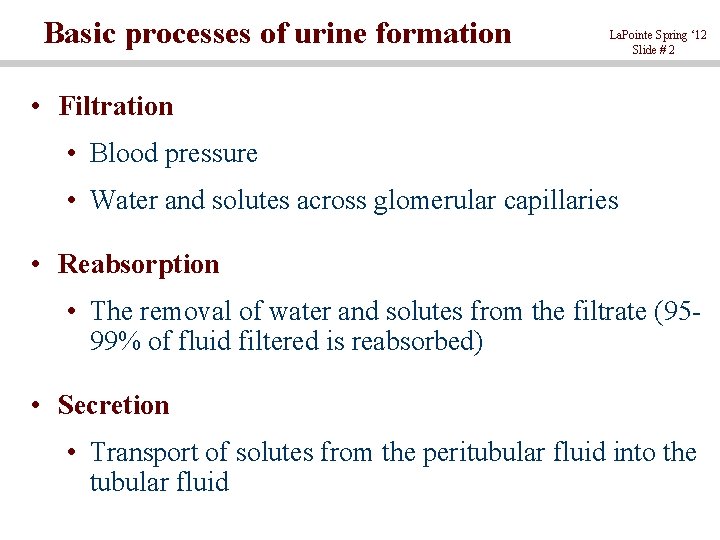 Basic processes of urine formation La. Pointe Spring ‘ 12 Slide # 2 •