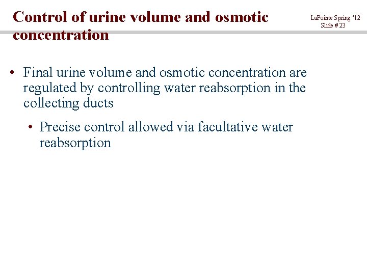 Control of urine volume and osmotic concentration • Final urine volume and osmotic concentration
